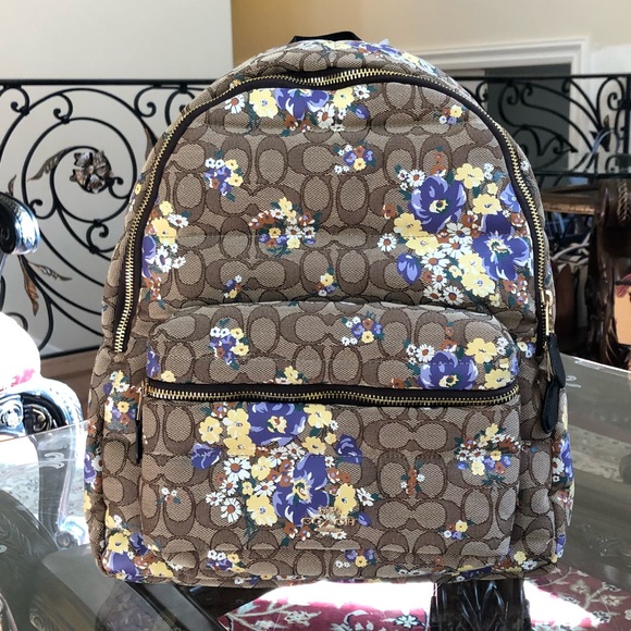 NWT - Picture 4 of 8